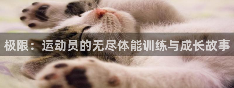 三亿体育
