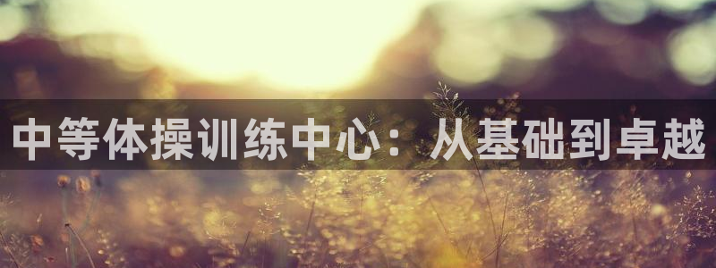 三亿体育网