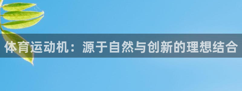 三亿体育网