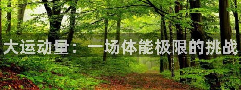 三亿体育网