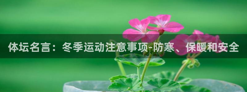 三亿体育