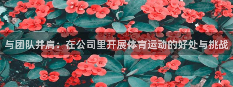 三亿体育