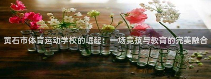 三亿体育网页版