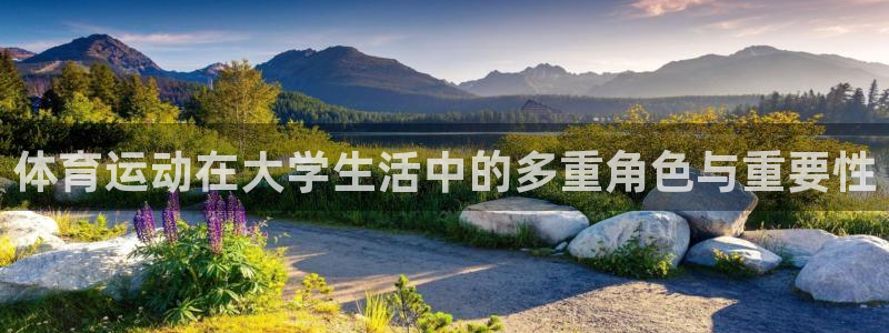 三亿体育网