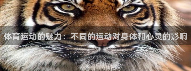 三亿体育