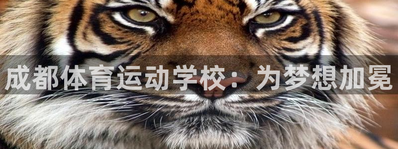 三亿体育登录