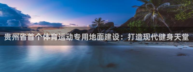 三亿体育