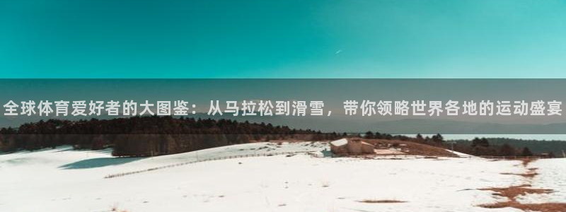 三亿体育网页版