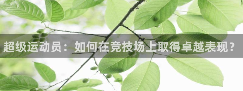 三亿体育