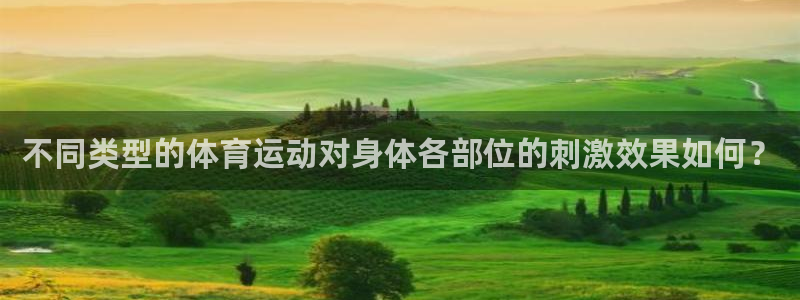 三亿体育网页版