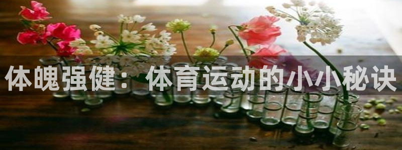 三亿体育网