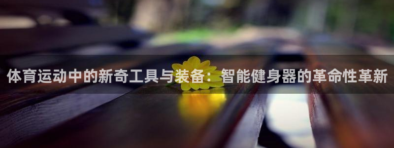 三亿体育