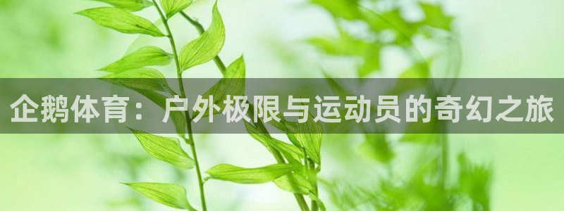 三亿体育网页版