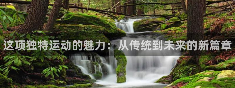 三亿体育网