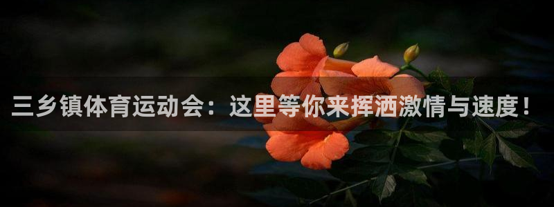 三亿体育